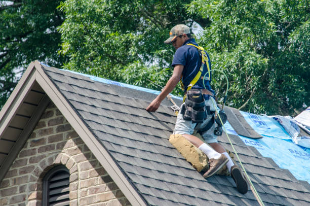 Best Shingle Roofing Installation  in Amboy, IL